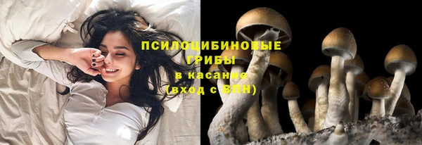 метадон Белокуриха