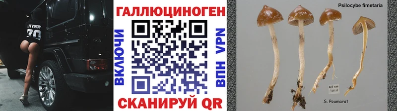 Галлюциногенные грибы MAGIC MUSHROOMS  купить наркоту  Куртамыш 